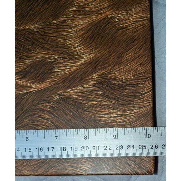 Predator: Life and Death in the African Bush - Coffee table book - Picture 9 of 10